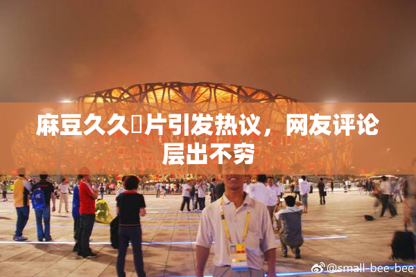 麻豆久久婬片引发热议，网友评论层出不穷