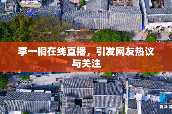 李一桐在线直播，引发网友热议与关注