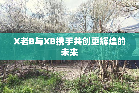 X老B与XB携手共创更辉煌的未来
