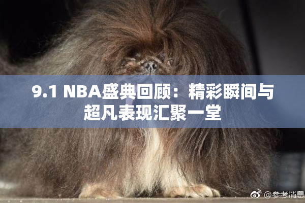 9.1 NBA盛典回顾：精彩瞬间与超凡表现汇聚一堂