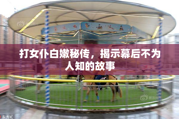 打女仆白嫩秘传，揭示幕后不为人知的故事