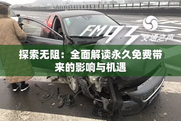 探索无阻：全面解读永久免费带来的影响与机遇