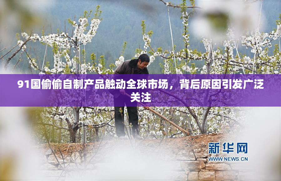 91国偷偷自制产品触动全球市场，背后原因引发广泛关注