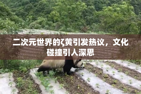 二次元世界的ζ黄引发热议，文化碰撞引人深思