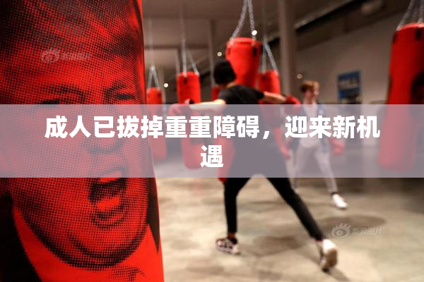 成人已拔掉重重障碍，迎来新机遇