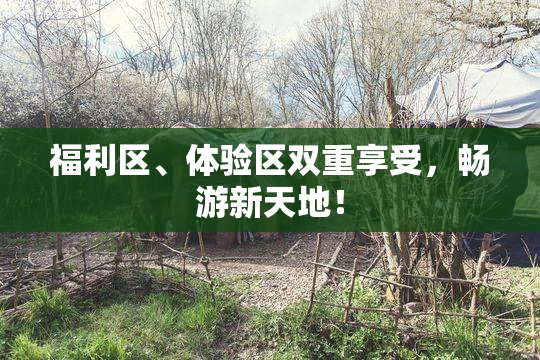 福利区、体验区双重享受，畅游新天地！