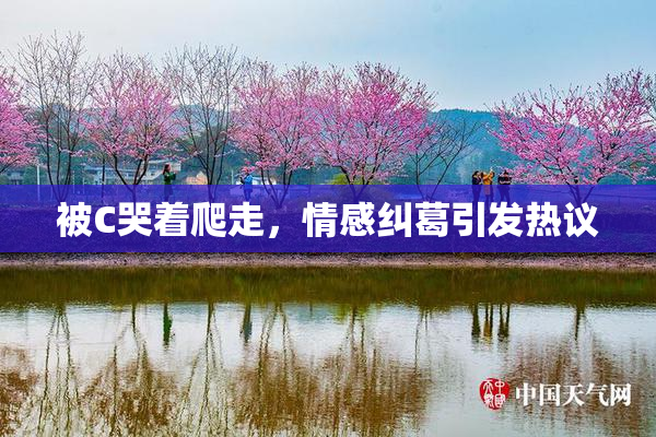 被C哭着爬走，情感纠葛引发热议