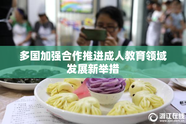 多国加强合作推进成人教育领域发展新举措