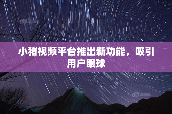 小猪视频平台推出新功能，吸引用户眼球