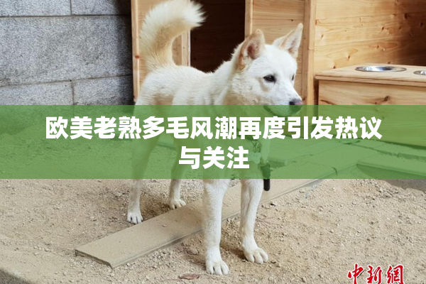 欧美老熟多毛风潮再度引发热议与关注