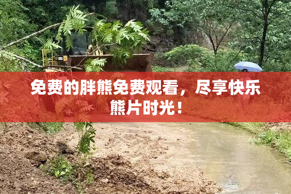 免费的胖熊免费观看，尽享快乐熊片时光！