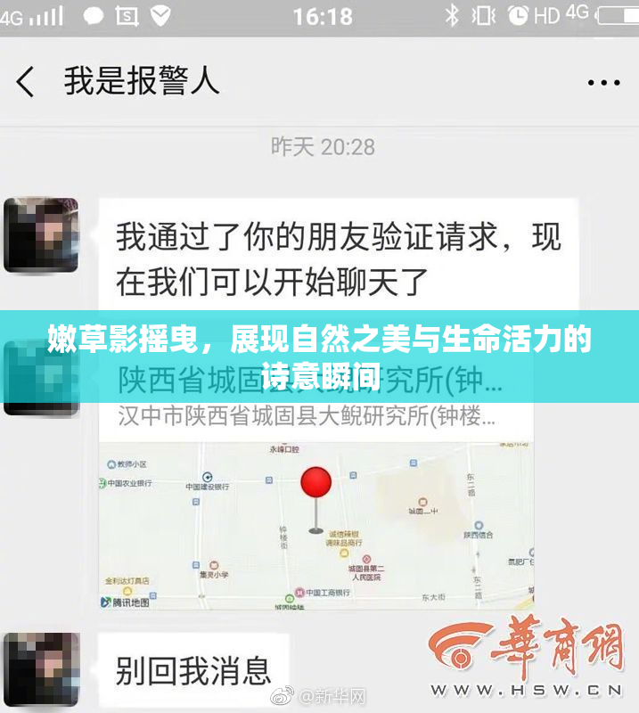 嫩草影摇曳，展现自然之美与生命活力的诗意瞬间