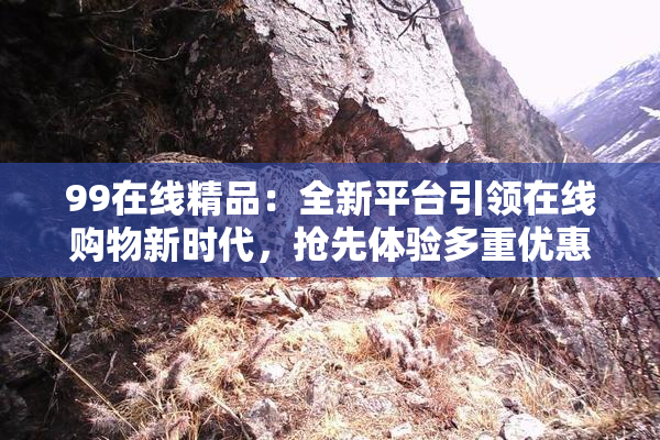 99在线精品：全新平台引领在线购物新时代，抢先体验多重优惠！