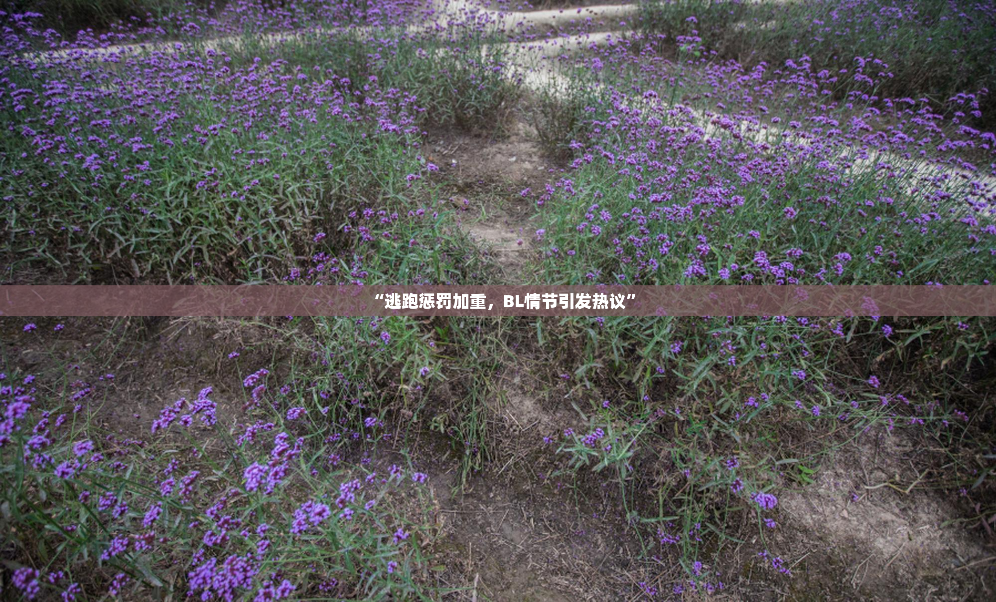 “逃跑惩罚加重，BL情节引发热议”