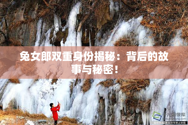 兔女郎双重身份揭秘：背后的故事与秘密！