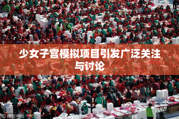 少女子宫模拟项目引发广泛关注与讨论
