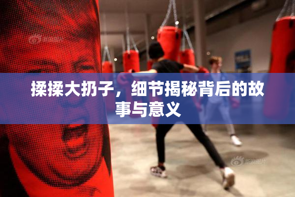 揉揉大扔子，细节揭秘背后的故事与意义