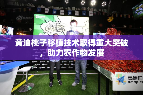 黄油桃子移植技术取得重大突破，助力农作物发展
