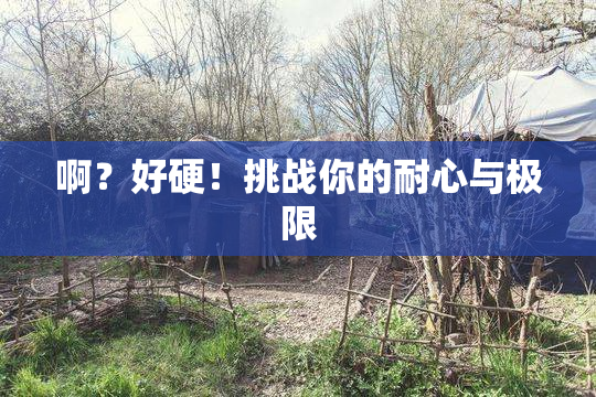 啊？好硬！挑战你的耐心与极限