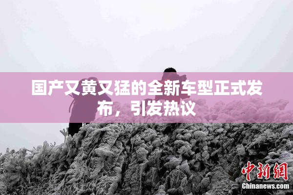 国产又黄又猛的全新车型正式发布，引发热议