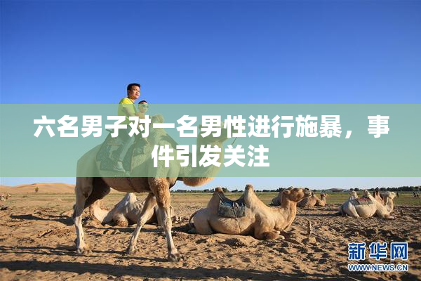 六名男子对一名男性进行施暴，事件引发关注