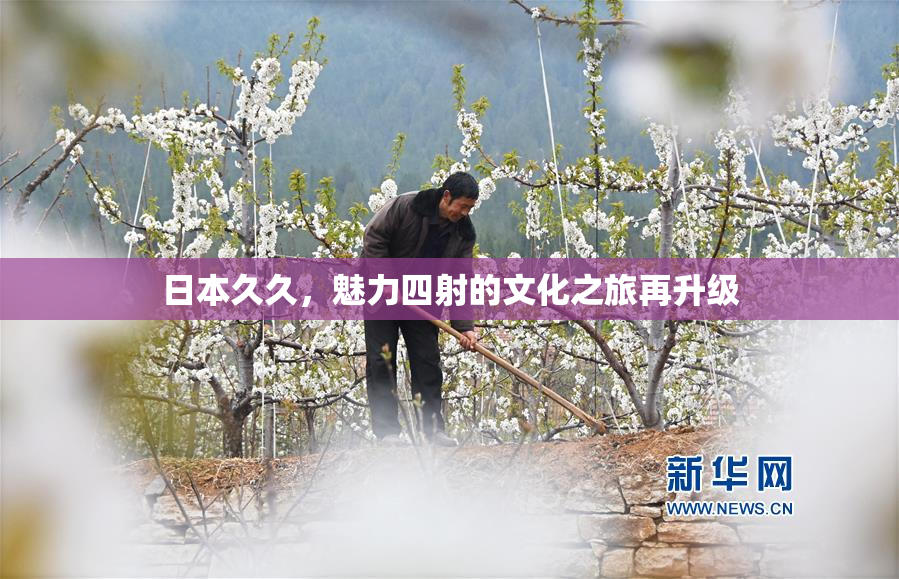 日本久久，魅力四射的文化之旅再升级