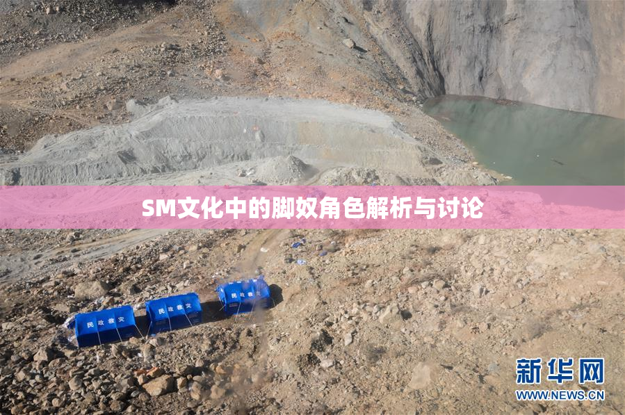 SM文化中的脚奴角色解析与讨论