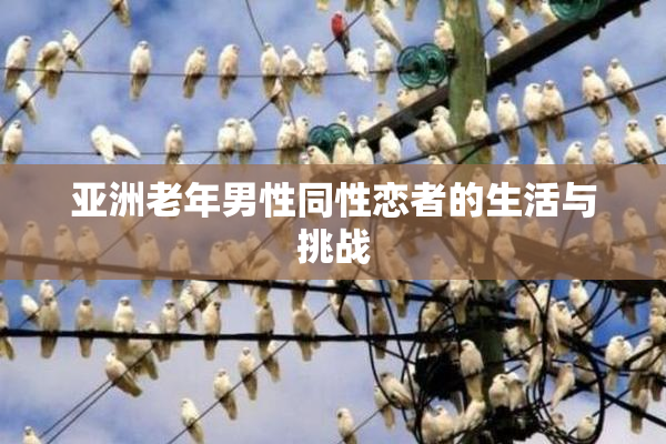 亚洲老年男性同性恋者的生活与挑战
