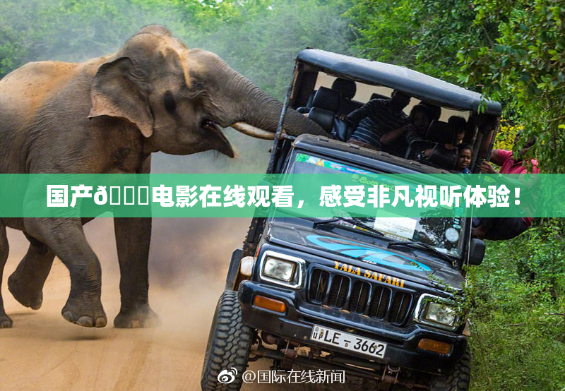 国产🔞电影在线观看，感受非凡视听体验！