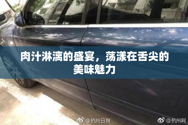 肉汁淋漓的盛宴，荡漾在舌尖的美味魅力