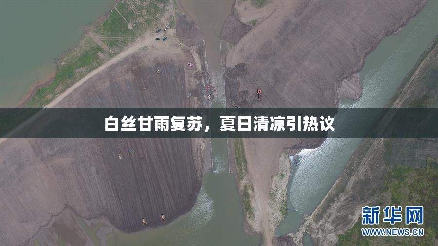 白丝甘雨复苏，夏日清凉引热议