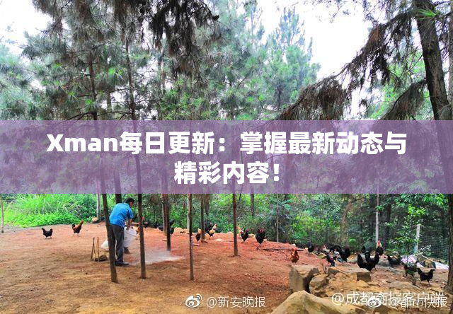 Xman每日更新：掌握最新动态与精彩内容！