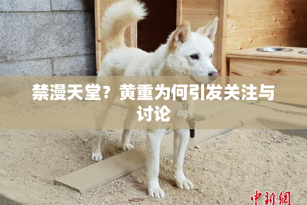 禁漫天堂？黄重为何引发关注与讨论