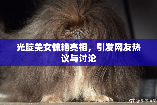 光腚美女惊艳亮相，引发网友热议与讨论