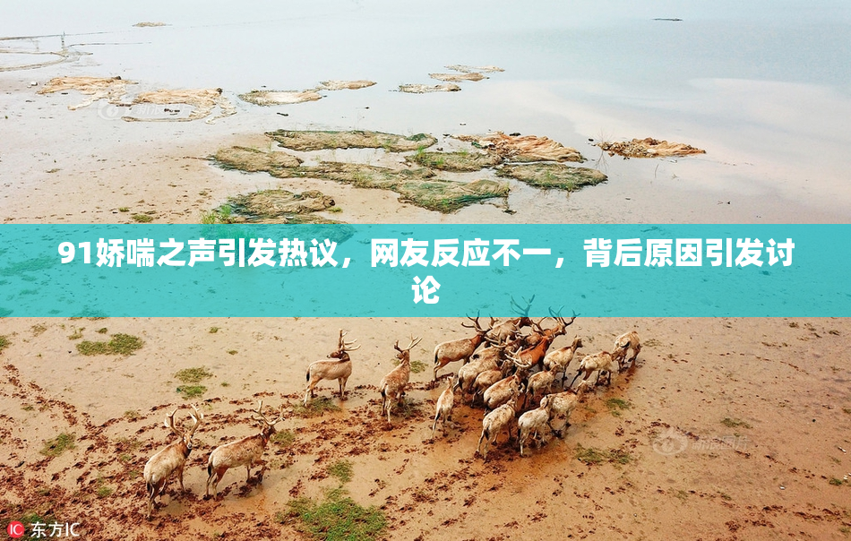 91娇喘之声引发热议，网友反应不一，背后原因引发讨论