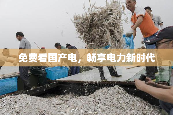 免费看国产电，畅享电力新时代
