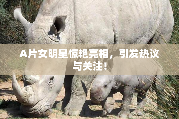 A片女明星惊艳亮相，引发热议与关注！