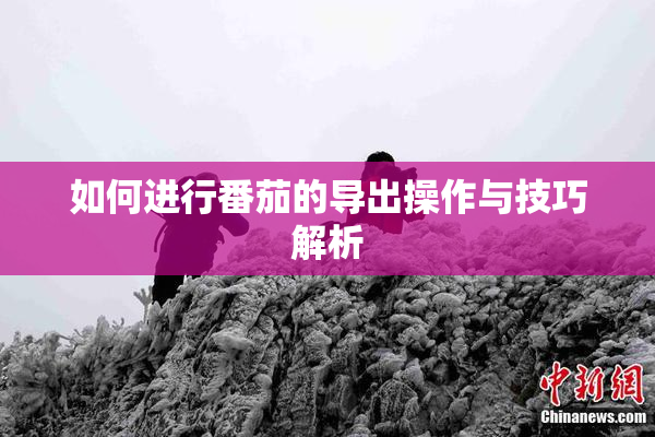 如何进行番茄的导出操作与技巧解析