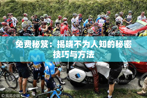 免费秘笈：揭晓不为人知的秘密技巧与方法