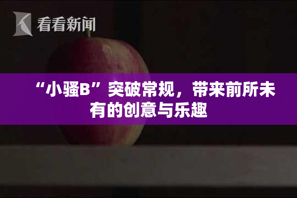 “小骚B”突破常规，带来前所未有的创意与乐趣