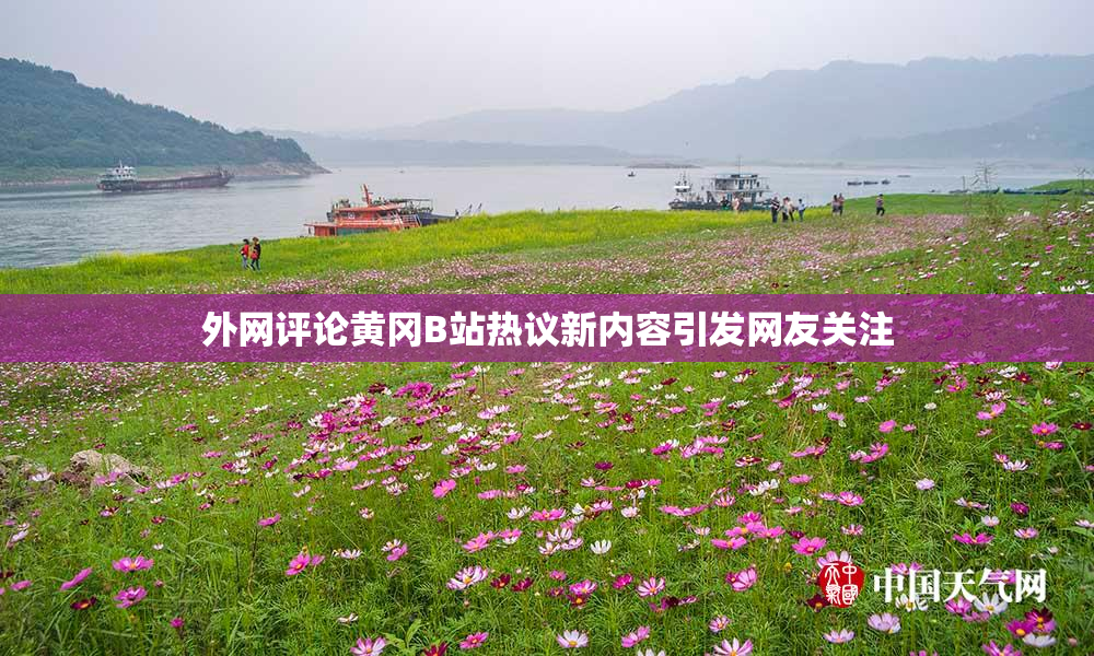 外网评论黄冈B站热议新内容引发网友关注