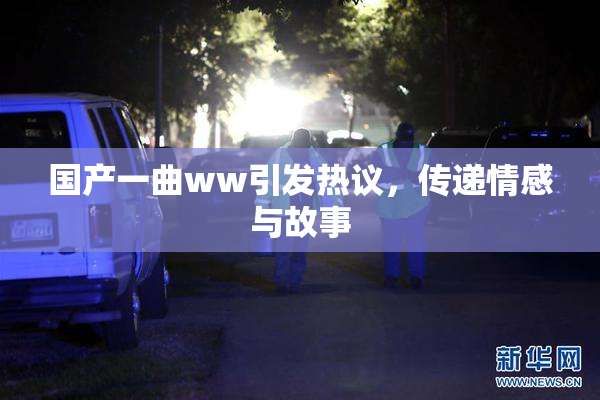 国产一曲ww引发热议，传递情感与故事