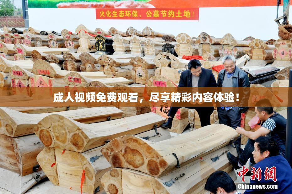 成人视频免费观看，尽享精彩内容体验！