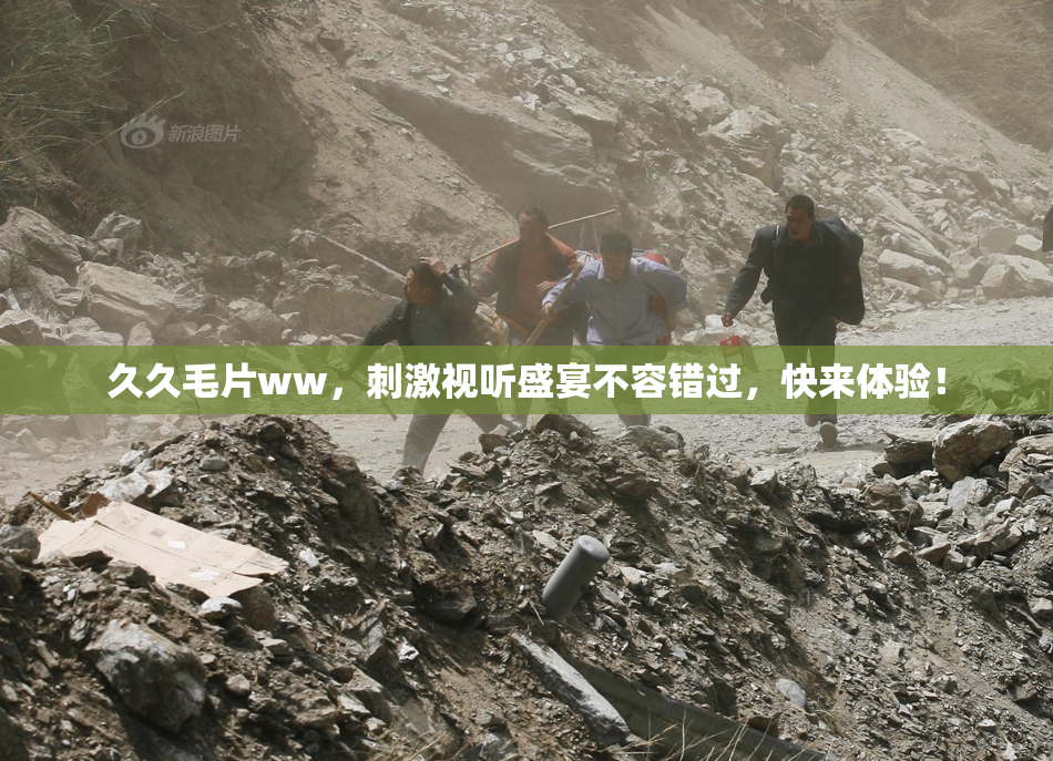久久毛片ww，刺激视听盛宴不容错过，快来体验！