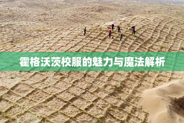 霍格沃茨校服的魅力与魔法解析