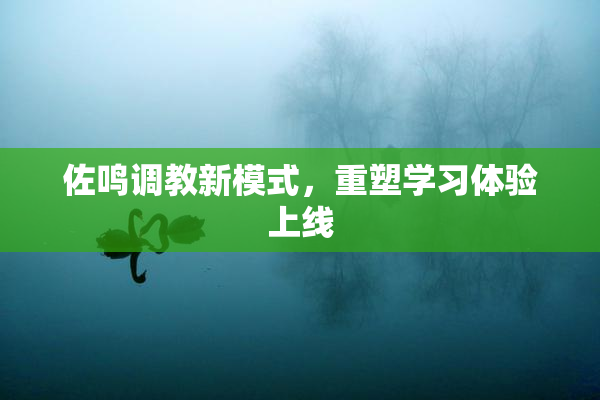 佐鸣调教新模式，重塑学习体验上线