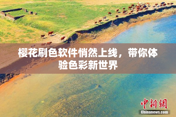樱花刷色软件悄然上线，带你体验色彩新世界