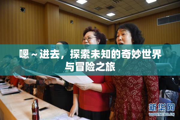 嗯～进去，探索未知的奇妙世界与冒险之旅