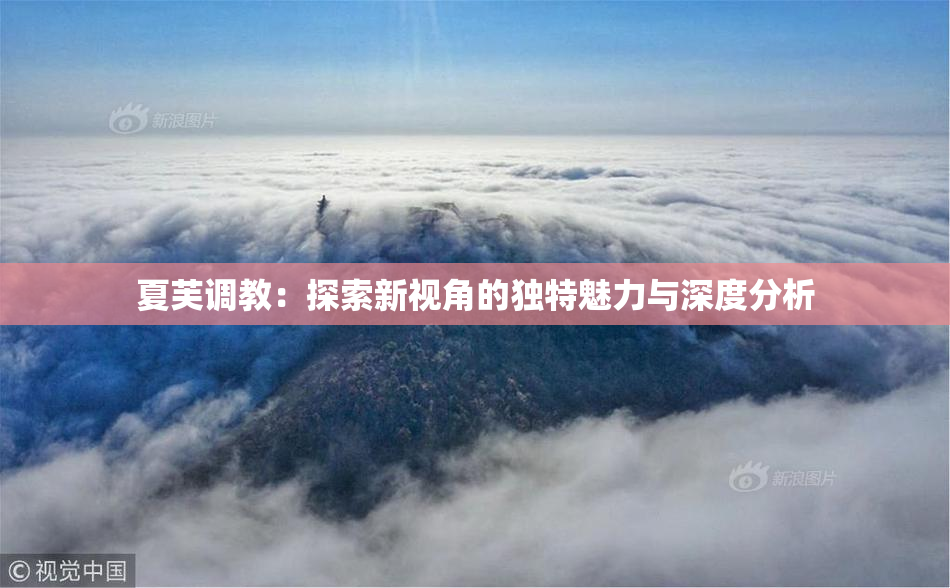 夏芙调教：探索新视角的独特魅力与深度分析