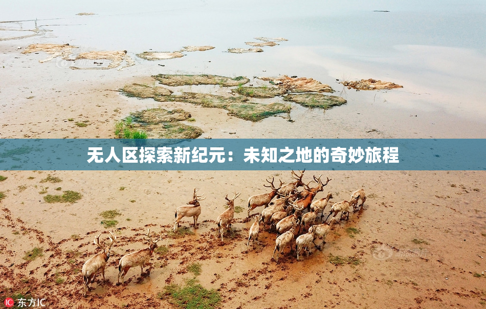 无人区探索新纪元：未知之地的奇妙旅程